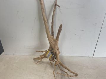 Boutique Stump Selected BS259- 57x40x12cm (Natuurlijk hout), Ophalen of Verzenden, Nieuw, Plant(en), Steen of Hout