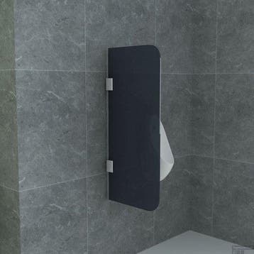 Urinoirscherm Schaamschot BWS Perry 40 x 90 cm Rookglas, Ophalen of Verzenden, Nieuw, Glas, Overige typen