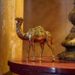 sculptuur, NO RESERVE PRICE - Bronze Polished Dromedary