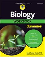 9781119894810 Biology Workbook For Dummies, Verzenden, Nieuw, Rene Fester Kratz