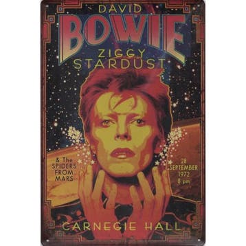 Wandbord Concert Bord - David Bowie Ziggy Stardust 1972 - vo, Ophalen of Verzenden, Nieuw, Poster, Artwork of Schilderij