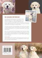 De golden retriever 9789081133005 Cindy Schwering, Verzenden, Zo goed als nieuw, Cindy Schwering