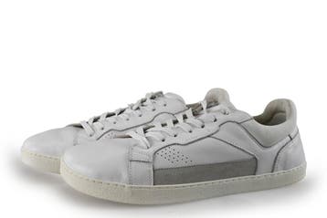 Barefoot Groundies Sneakers in maat 43 Wit, Kleding | Dames, Schoenen, Verzenden, Wit, Barefoot Groundies, Sneakers of Gympen