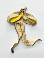Koji Kasatani - Panic Banana