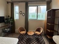 Studio Van Boecopkade in Den Haag, Overige soorten, Zuid-Holland