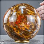 Natuurlijke fossiele houtbal – zeldzame versteende formatie, Verzamelen, Mineralen en Fossielen