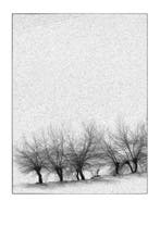 Franco Turcati - Langhe Inverno (065)