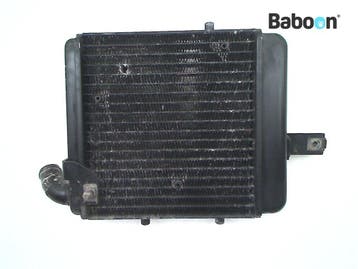 Radiateur Rechts Benelli TNT 1130 2005, Verzenden, Gebruikt