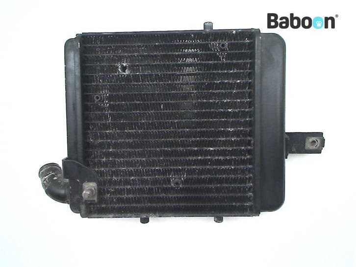 Radiateur Rechts Benelli TNT 1130 2005, Motoren, Onderdelen | Overige, Gebruikt, Verzenden