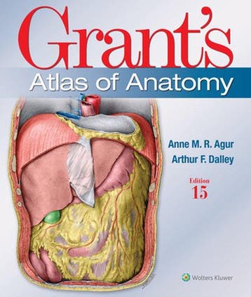 Grants Atlas Of Anatomy 15E 9781975138714, Boeken, Verzenden, Zo goed als nieuw