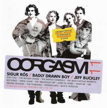 cd - Various - Oorgasm 11, Verzenden, Zo goed als nieuw