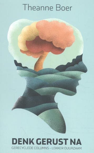 Denk gerust na - Theanne Boer 9789058041234, Verzenden, Gelezen, Theanne Boer