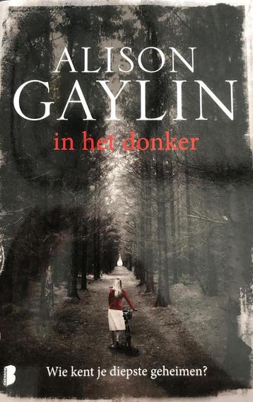 In het donker - Alisin Gaylin 9789022584569, Boeken, Verzenden, Zo goed als nieuw, Alisin Gaylin