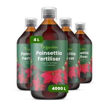 Kerstster Vloeibare meststof - Set 4x1 liter, Verzenden, Mest