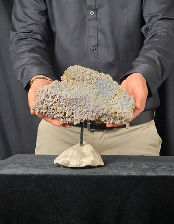 Grape Agate op Carrara Calacatta-marmeren voetstuk