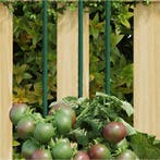 vidaXL Plantenstaken 30 st 90 cm staal groen, Tuin en Terras, Bloembakken en Plantenbakken, Verzenden, Nieuw, 60 cm of meer