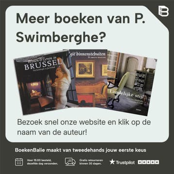 Vlaamse stijl - P. Swimberghe 9789020963151, Verzenden, Gelezen, P. Swimberghe