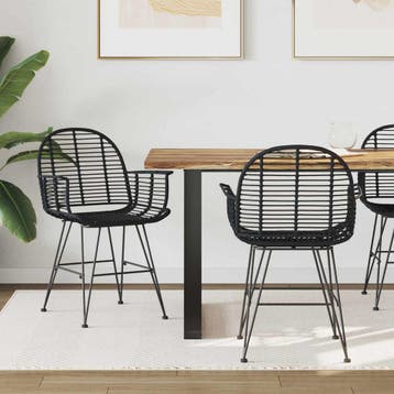 vidaXL Eetkamerstoel 2 st Riet en IJzer Zwart 57 x 55 x 85, Verzenden, Nieuw, Zwart