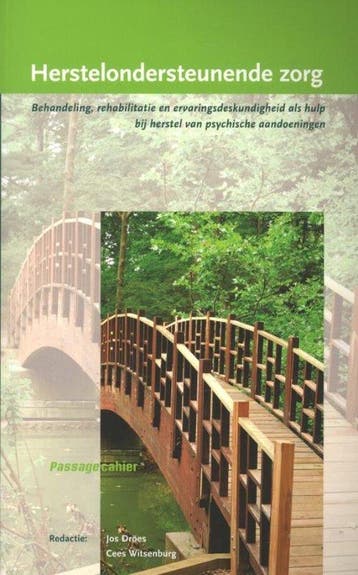 9789088502989 Herstelondersteunende zorg | Tweedehands, Boeken, Verzenden, Zo goed als nieuw, Jos Droes