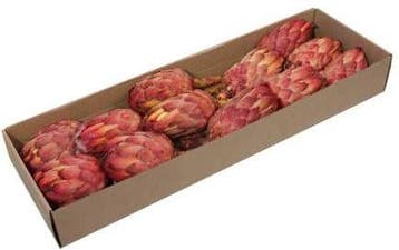 Protea Grandiceps Suikerbossie Naturel doos, Ophalen of Verzenden, Nieuw