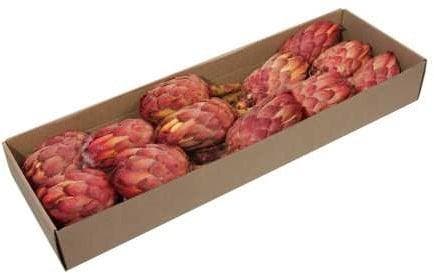 Protea Grandiceps Suikerbossie Naturel doos, Hobby en Vrije tijd, Knutselen, Nieuw, Ophalen of Verzenden