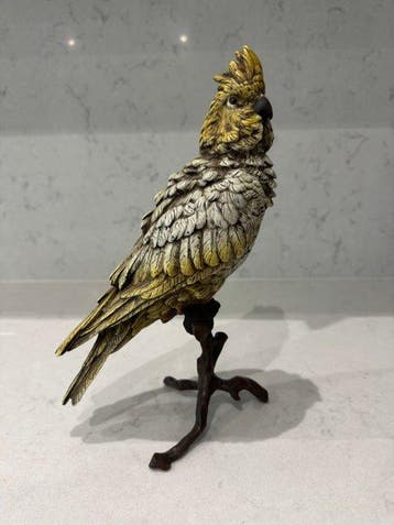 Beeldje, Cockatoo on Branch after Franz Bergmann - 30 cm -