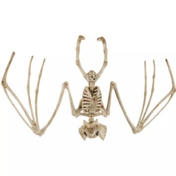 Malatec Vleermuis Skelet - Griezelige Halloween Decoratie..., Ophalen of Verzenden, Nieuw
