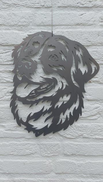 Berner Sennen 2, Verzenden, Nieuw