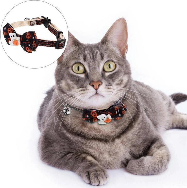 Halloween halsband Ghost voor katten, Dieren en Toebehoren, Katten-accessoires, Nieuw, Verzenden