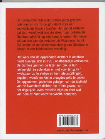 Geruisloos geraas 9789056552640, Boeken, Verzenden, Gelezen