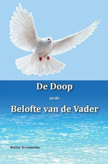 De doop en de belofte van de Vader - Walter Tessensohn, Boeken, Verzenden, Zo goed als nieuw, Walter Tessensohn