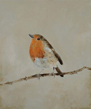 Matthieu van Riel - Roodborstje