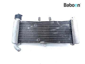 Radiateur Aprilia RS 125 2017-> (RS125), Motoren, Verzenden, Gebruikt
