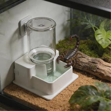 Automatische Reptielen Voerbak & Waterdispenser - Zelfvoorzi