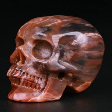 88 g 5,10 x 4,00 cm AA museumstuk Echt dendroliet Trias
