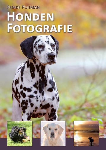 Hondenfotografie 9789081693905 Femke Puijman, Verzenden, Zo goed als nieuw, Femke Puijman