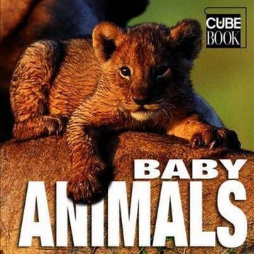Baby Animals - Angela Serena Ildos 9788854400023, Verzenden, Gelezen, Angela Serena Ildos