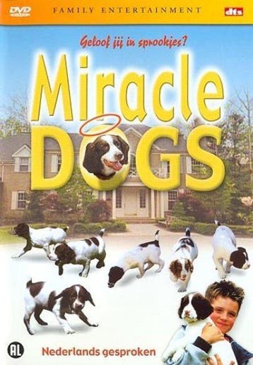 Miracle dogs (dvd tweedehands film), Ophalen of Verzenden, Zo goed als nieuw