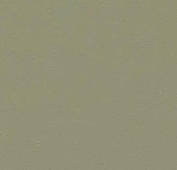Forbo Marmoleum vtwonen VTW09 Nikkel, Verzenden, Nieuw