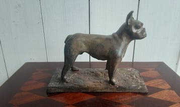 P. Chenet - Figuur - Bulldog - 20 cm - Brons