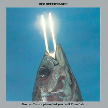 REO Speedwagon - You Can Tune A Piano, But You Cant Tuna Fi, Ophalen of Verzenden, Gebruikt