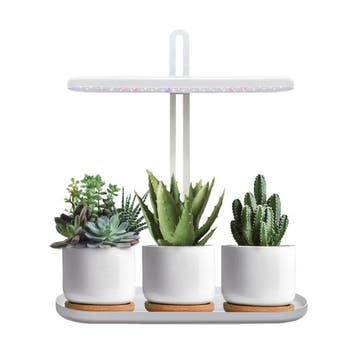 LED plantengroeilamp BLOOM 12W 4500K met timer en dimfunc..., Huis en Inrichting, Lampen | Overige, Ophalen of Verzenden, Nieuw