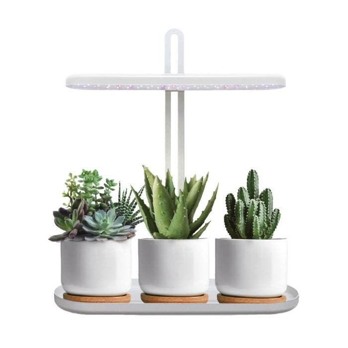 LED plantengroeilamp BLOOM 12W 4500K met timer en dimfunc..., Huis en Inrichting, Lampen | Overige, Nieuw, Ophalen of Verzenden