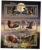 Wereld - C3 - Blok-velletjes van de nieuwe wereld zonder, Gestempeld