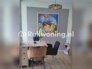Voorhof: Ruime flat met 3 kamers (Delft)