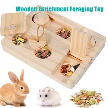 6-in-1 Houten Foerageerspeelgoed – Puzzel voor Knaagdieren, Verzenden, Nieuw