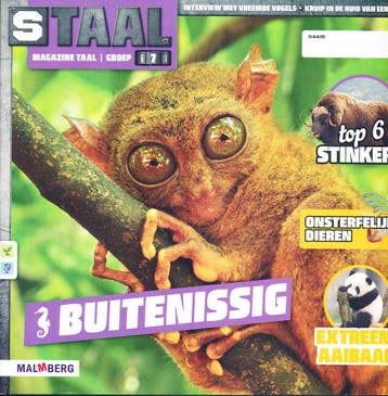 Staal versie 2 Magazine Taal Buitenissig groep 7, Boeken, Verzenden, Nieuw