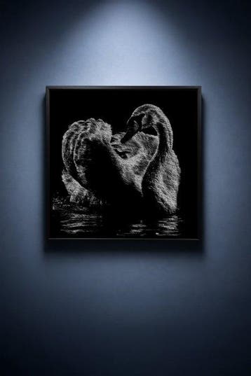 Tijs Dragtsma (1992) - What Darkness Yields