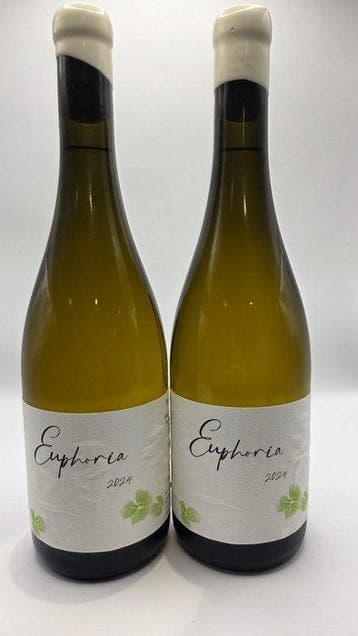 2024 Jérémy Carteret Euphoria - Bourgogne Hautes-Côtes de, Nieuw