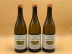 2024 Pascal Cotat  Les Monts Damnés Sancerre - Loire - 3, Nieuw